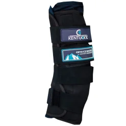 KENTUCKY Boots Cryo Ice