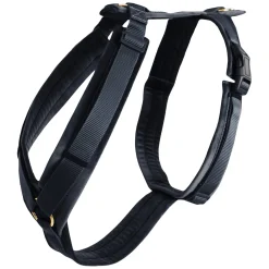 KENTUCKY DOGWEAR Hundegeschirr Activ Velvet