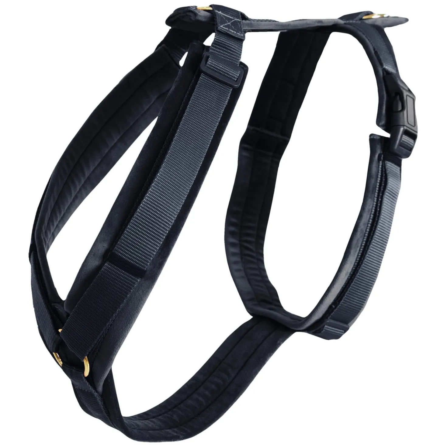 KENTUCKY DOGWEAR Hundegeschirr Activ Velvet