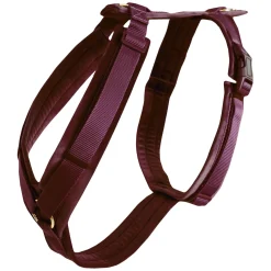 KENTUCKY DOGWEAR Hundegeschirr Activ Velvet