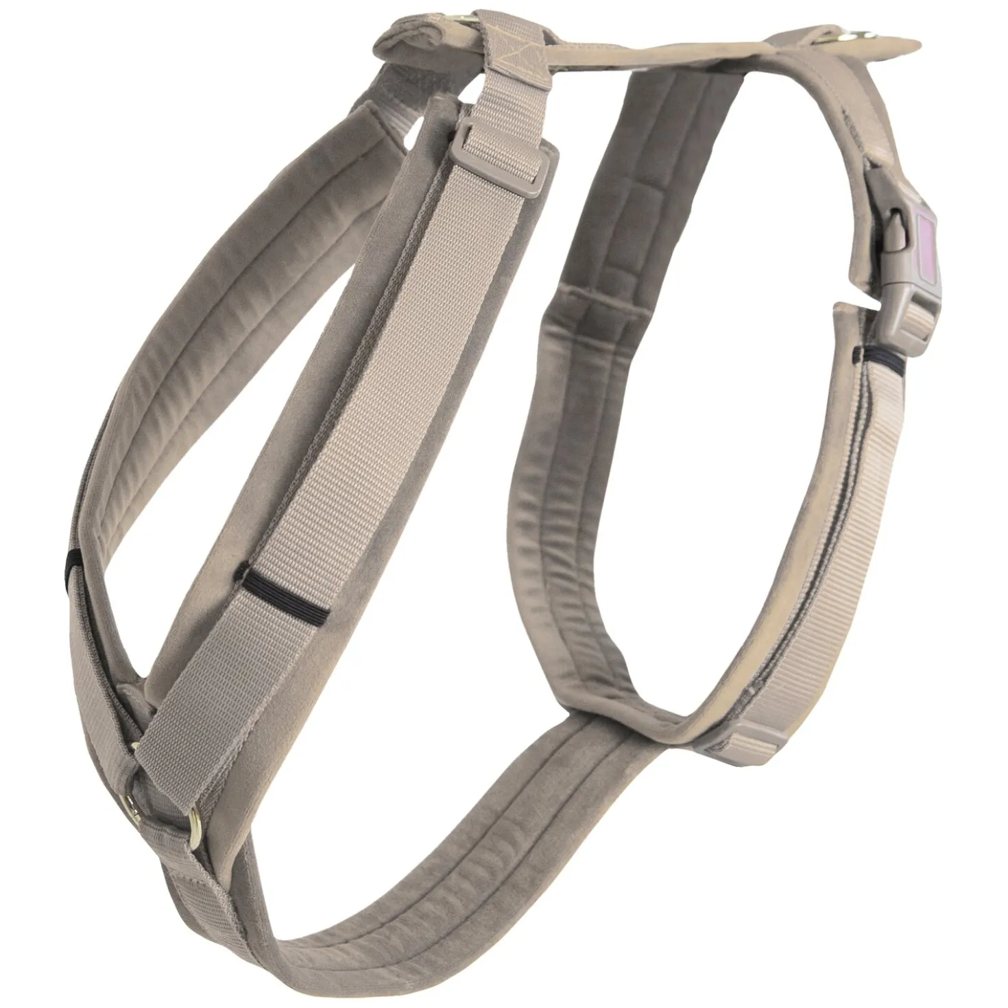 KENTUCKY DOGWEAR Hundegeschirr Activ Velvet