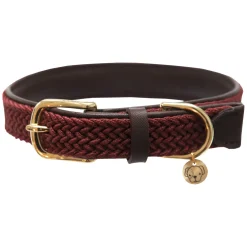 KENTUCKY DOGWEAR Hundehalsband Plaited Nylon