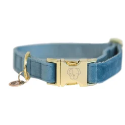 KENTUCKY DOGWEAR Hundehalsband Velvet