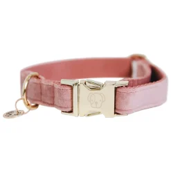 KENTUCKY DOGWEAR Hundehalsband Velvet