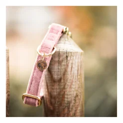 KENTUCKY DOGWEAR Hundehalsband Velvet
