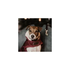 KENTUCKY DOGWEAR Hundemantel Original