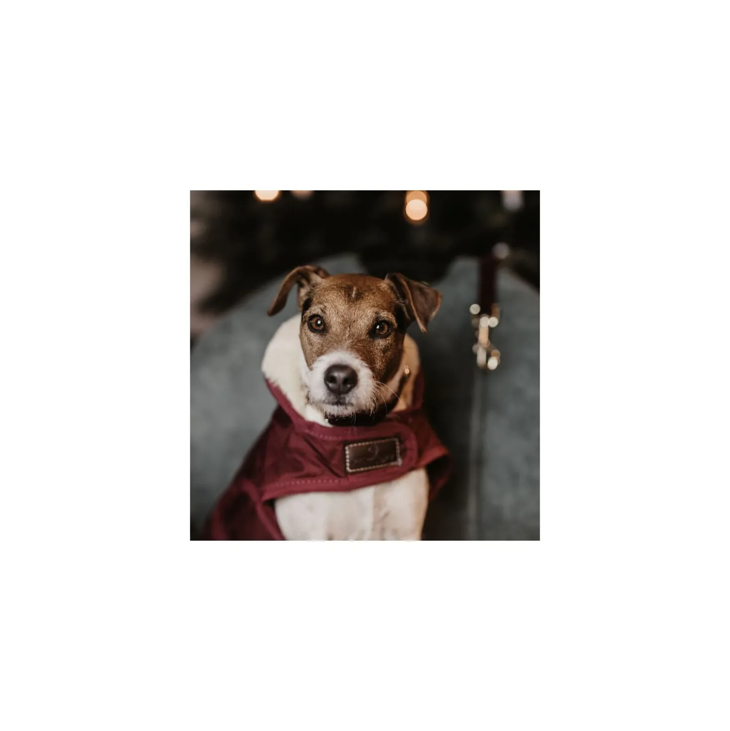 KENTUCKY DOGWEAR Hundemantel Original
