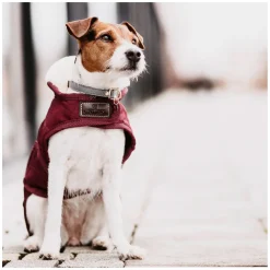 KENTUCKY DOGWEAR Hundemantel Original