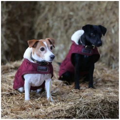 KENTUCKY DOGWEAR Hundemantel Original