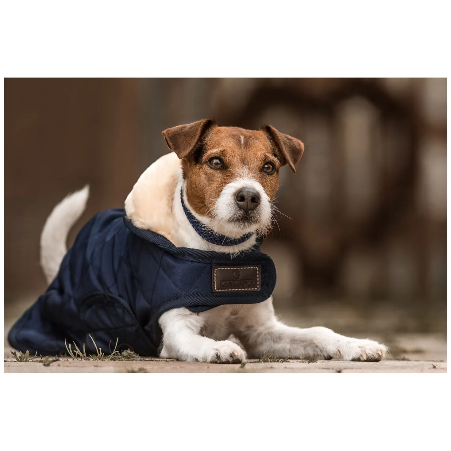 KENTUCKY DOGWEAR Hundemantel Original