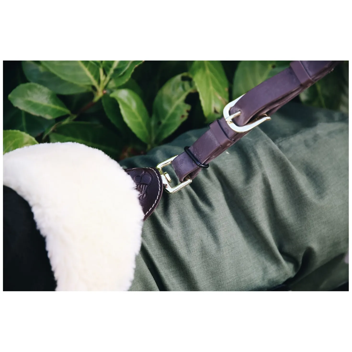 KENTUCKY DOGWEAR Hundemantel Wasserdicht