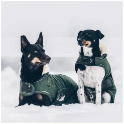 KENTUCKY DOGWEAR Hundemantel Wasserdicht