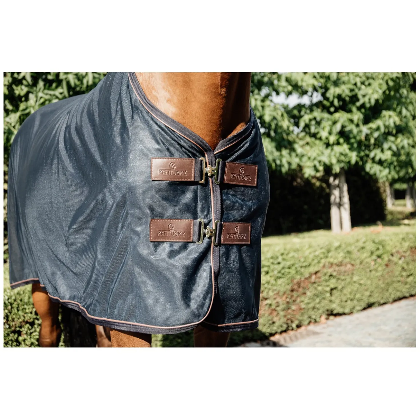 KENTUCKY Fliegendecke Mesh