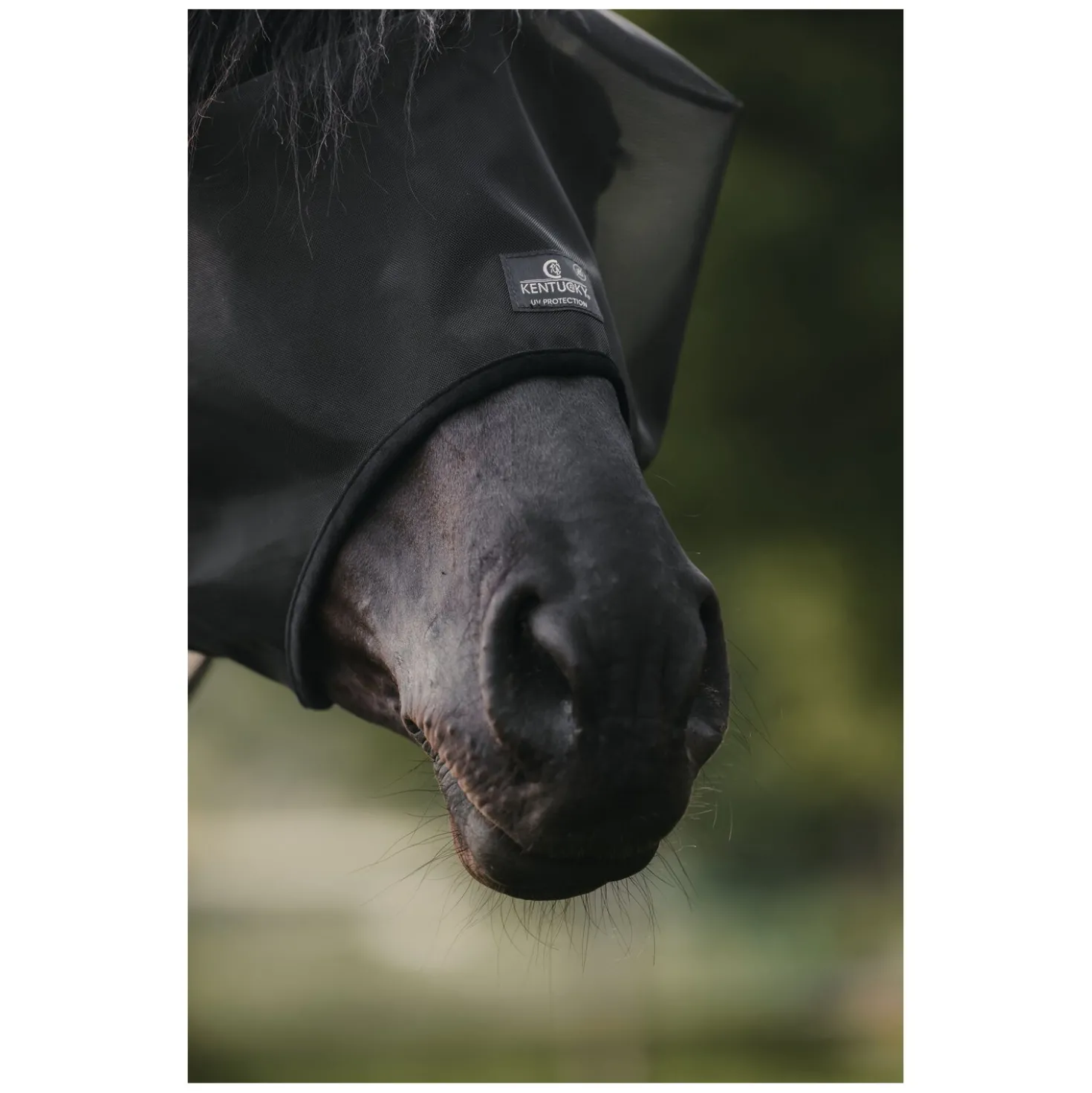 KENTUCKY Fliegenmaske Classic ohne Ohren