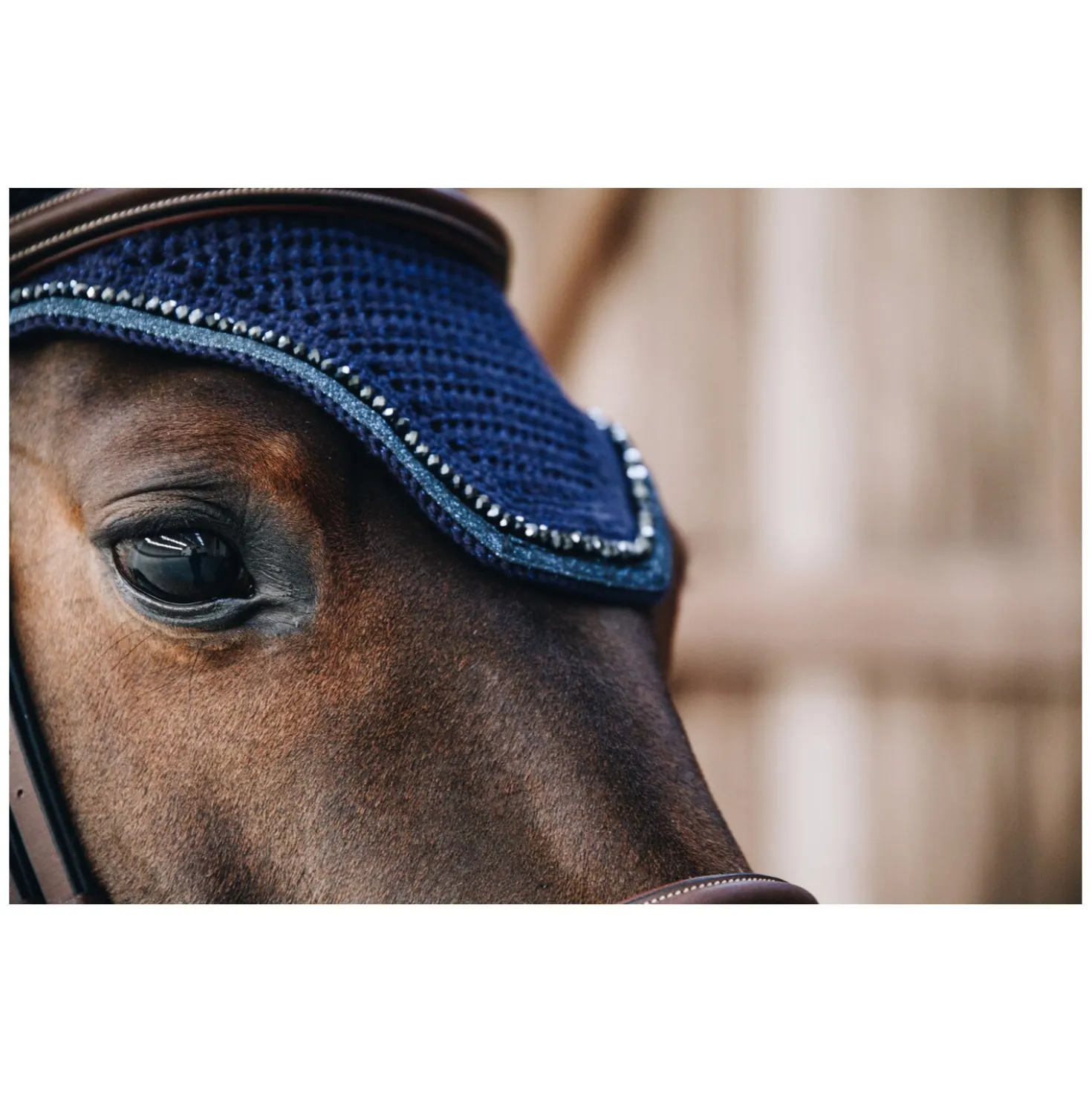 KENTUCKY Fliegenohren Wellington Glitter