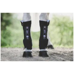 KENTUCKY Magnetic Stable Boot Recuptex