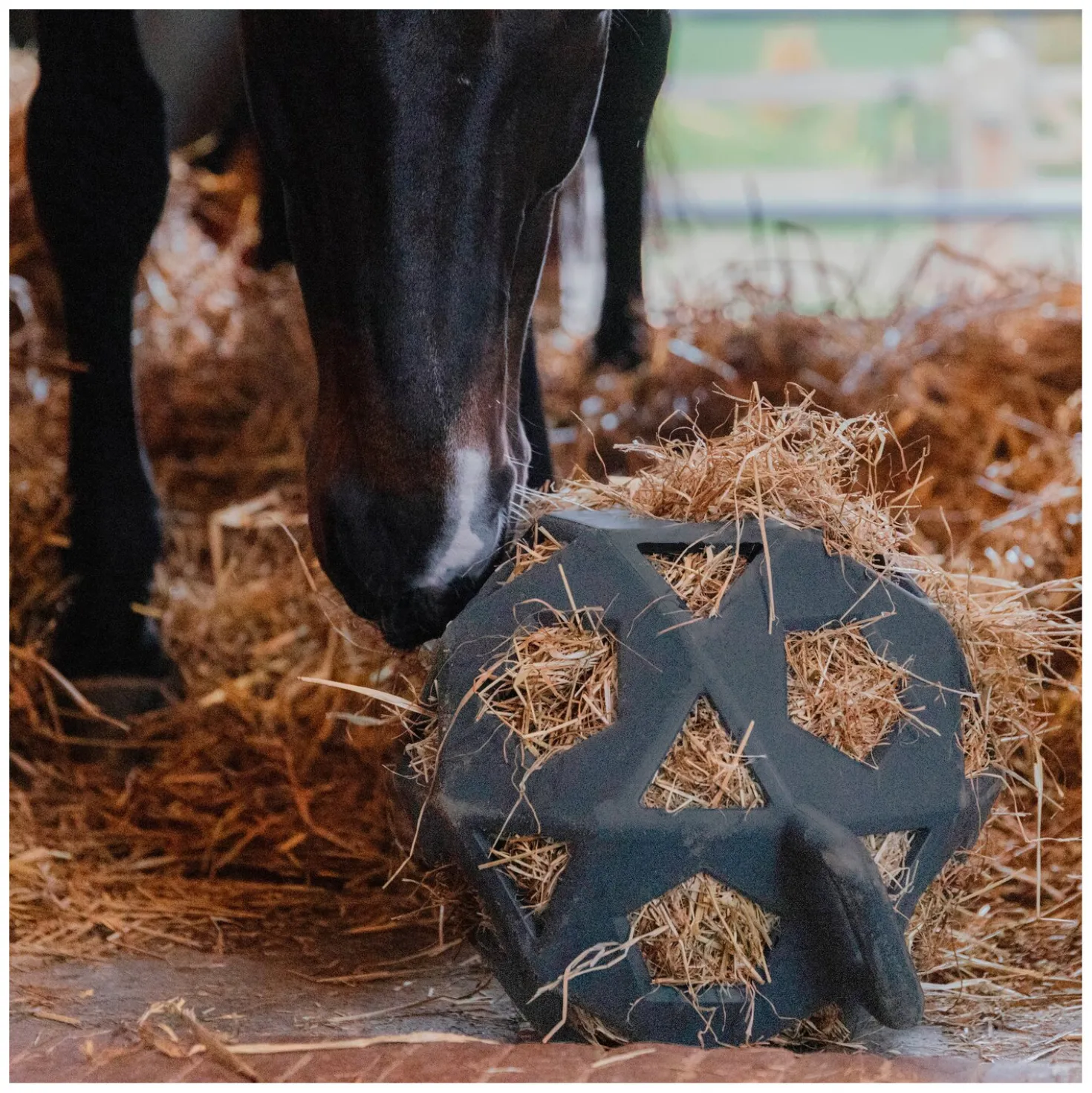 KENTUCKY Relax Pferde Spiel & Heuball
