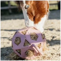 KENTUCKY Relax Pferde Spiel & Heuball