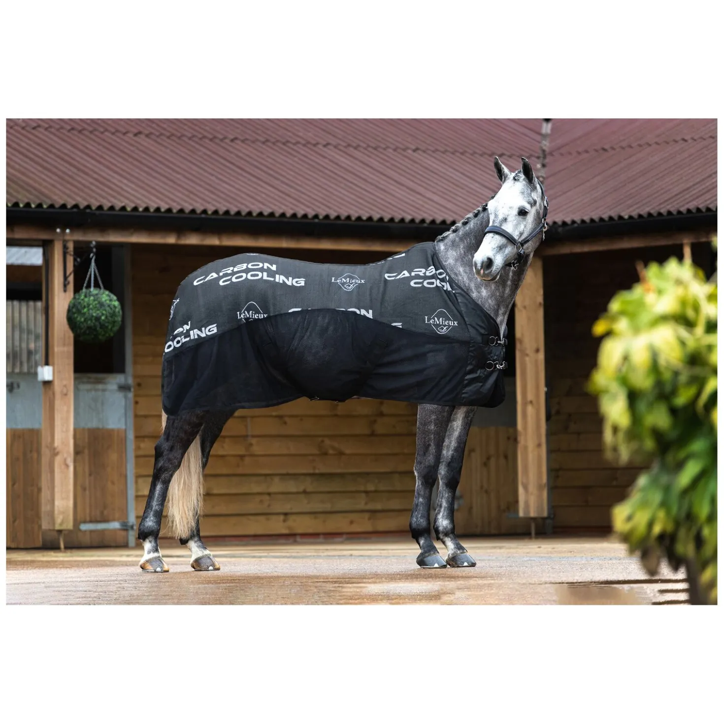LeMieux Abschwitzdecke Carbon Cooler Rug