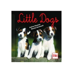 Little Dogs