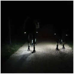 LOVELSTAR Steigbügeleinlagen LEDs Pro
