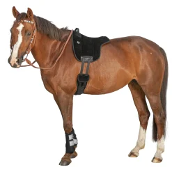 L-pro West Bareback-Pad Wildleder