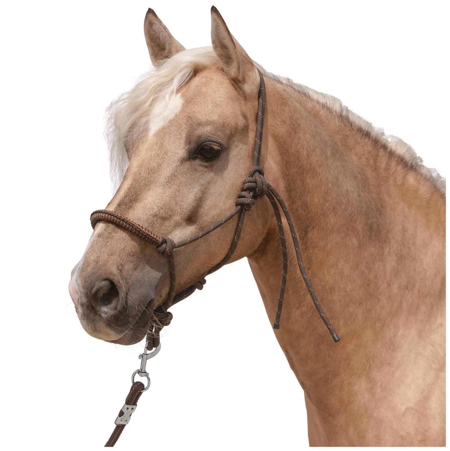 L-pro West Knotenhalfter mit Seil