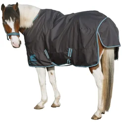 L-pro West Paddock- und Outdoordecke Light