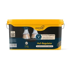 marstall Huf-Regulator