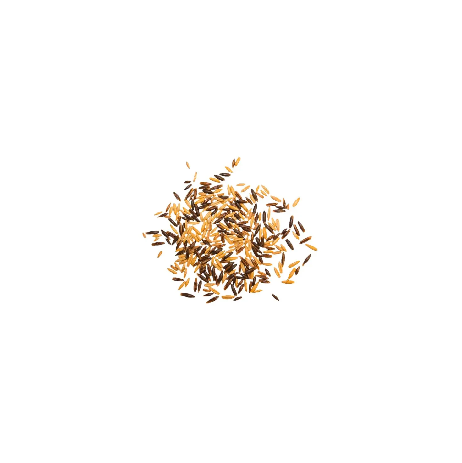 marstall Schwarz-Gold-Hafer