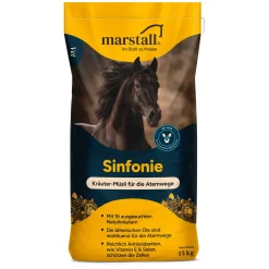 marstall Sinfonie