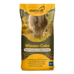 marstall Wiesen-Cobs