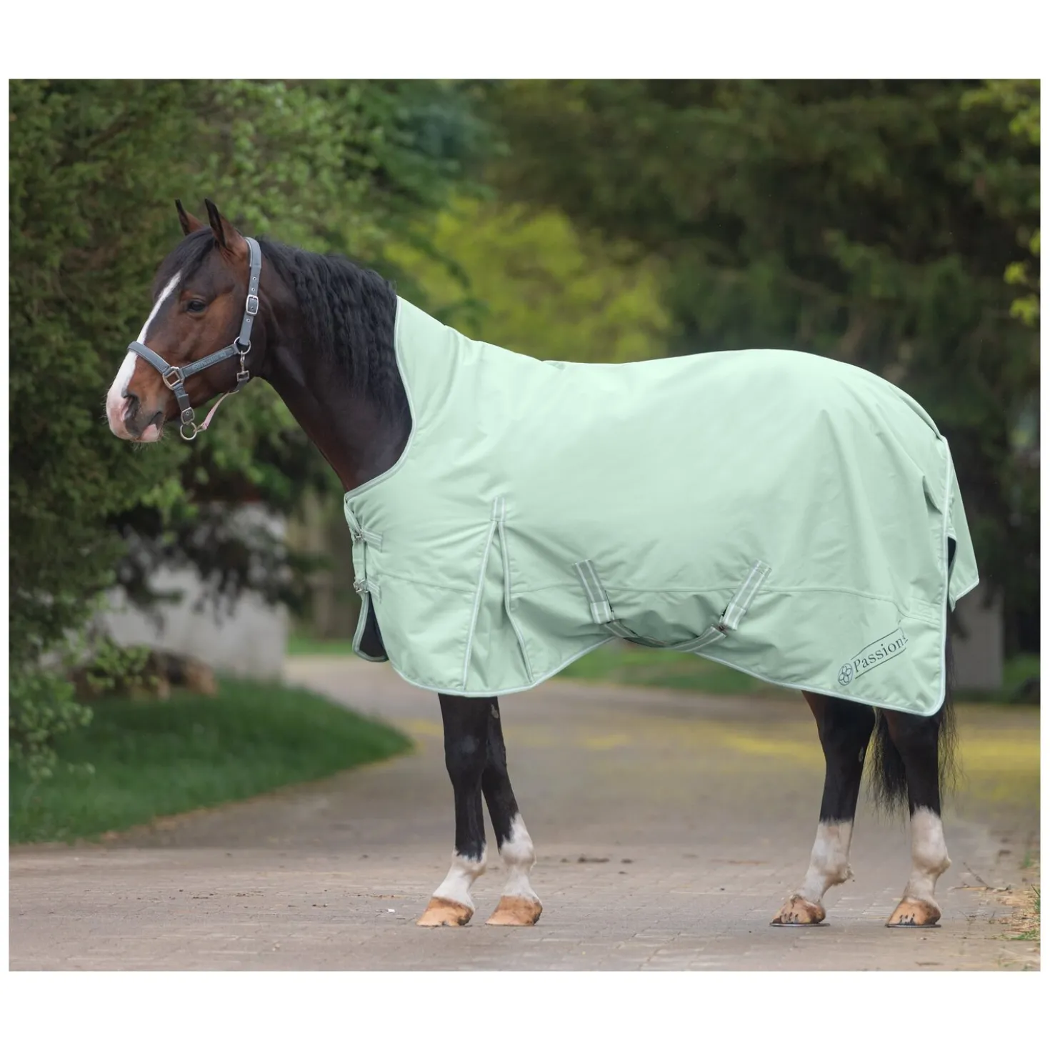 Passion 4Q Outdoordecke