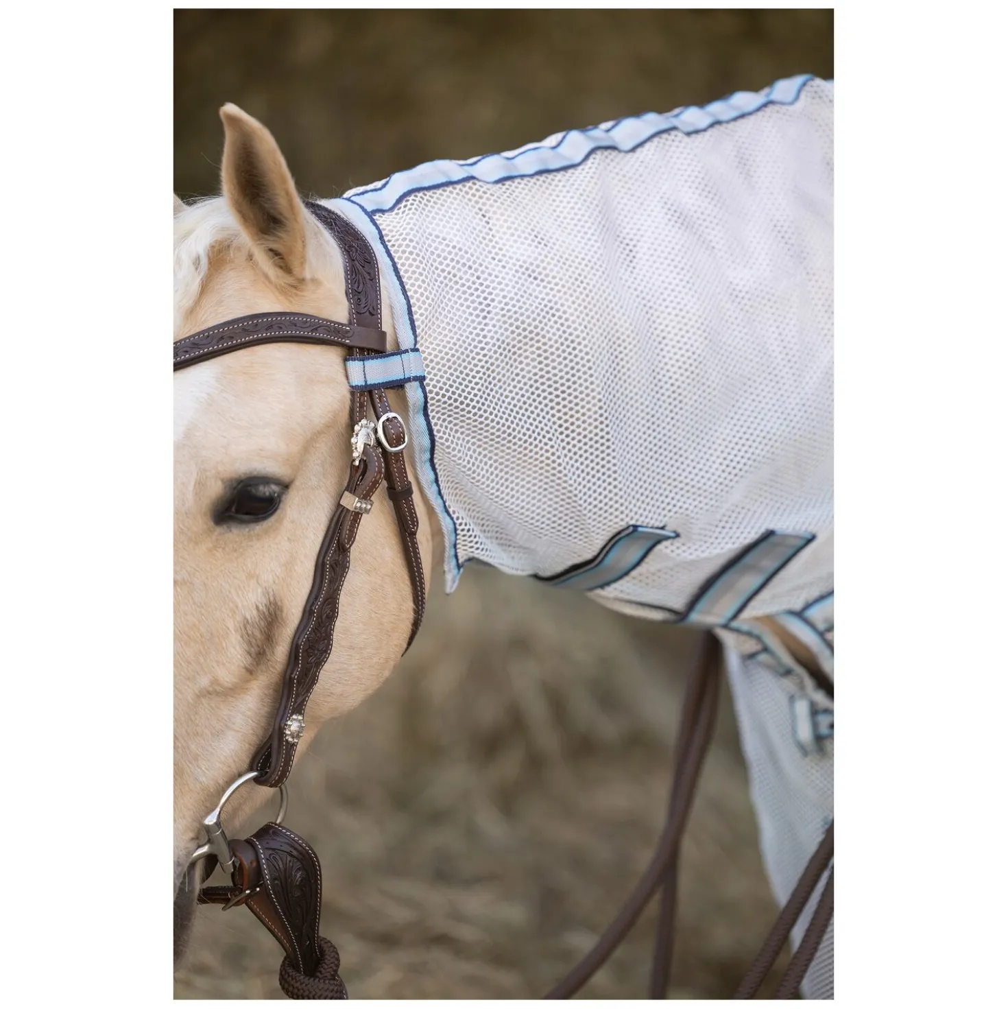 Passion 4Q Western-Fliegenausreitdecke