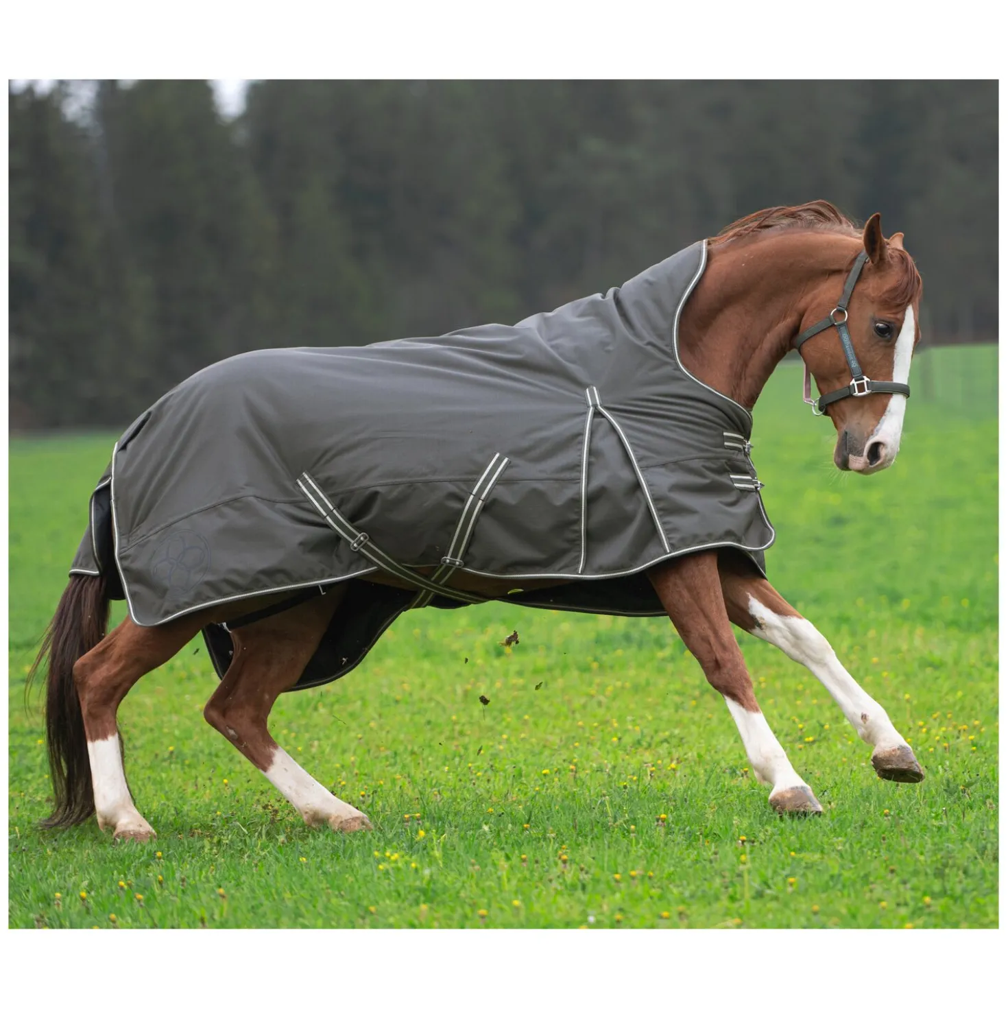 Passion 4Q 3-Zonen Outdoordecke