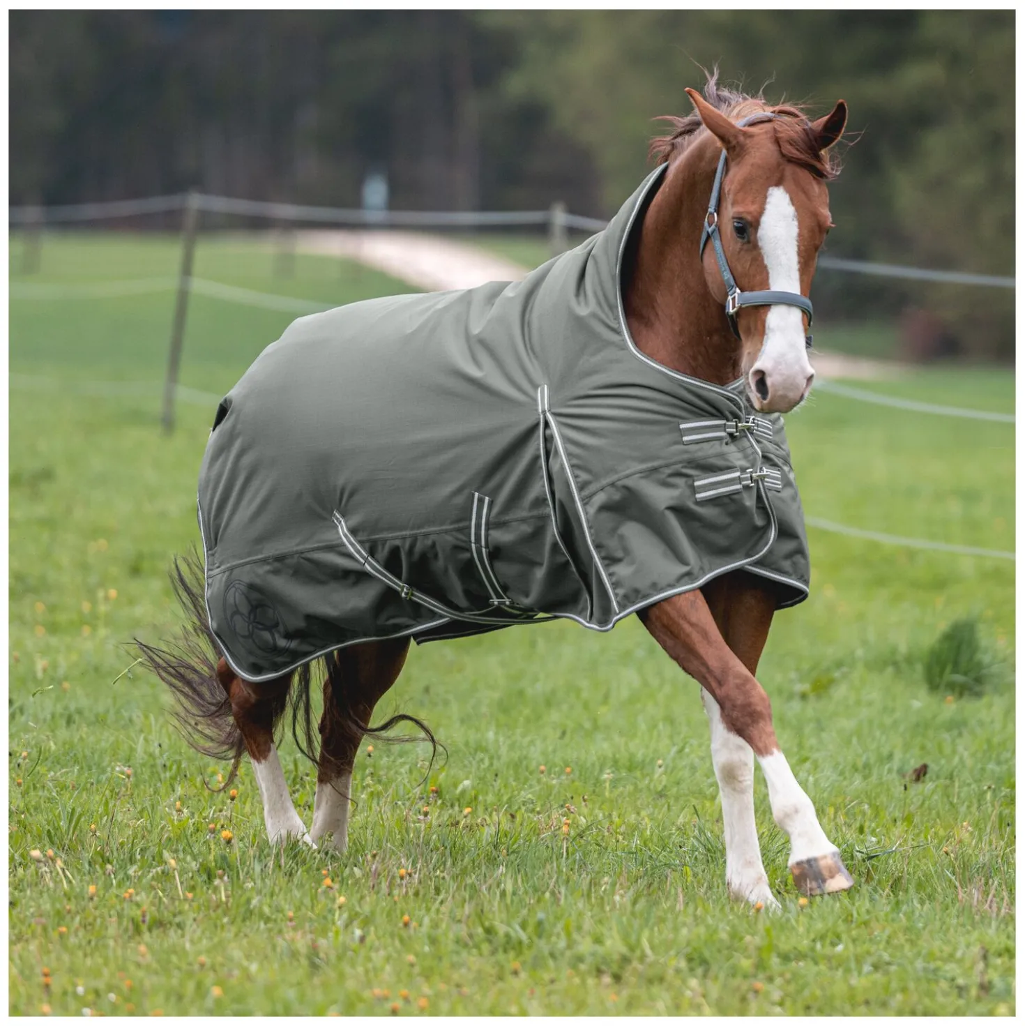 Passion 4Q 3-Zonen Outdoordecke