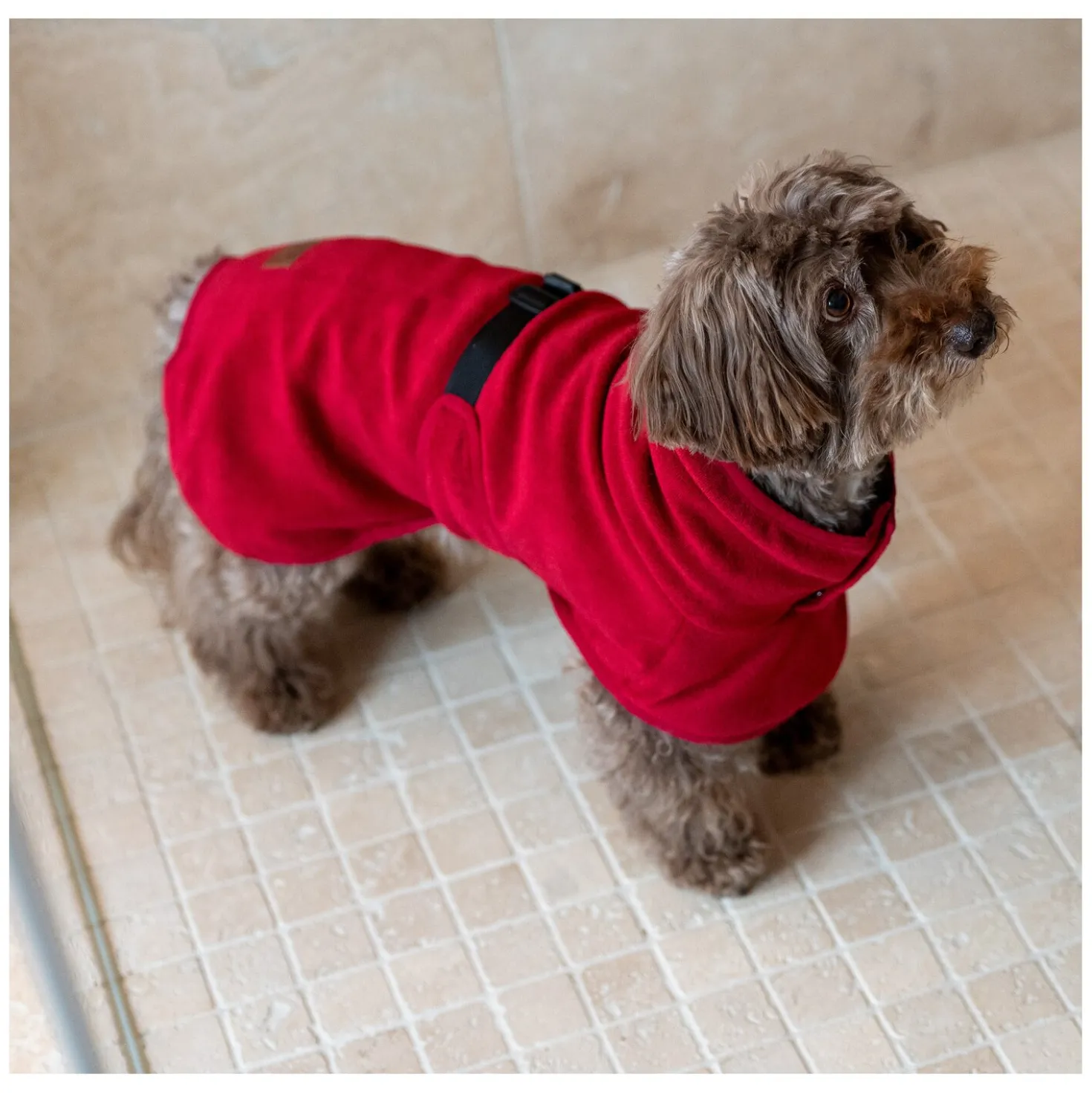 pawberry Hundebademantel London