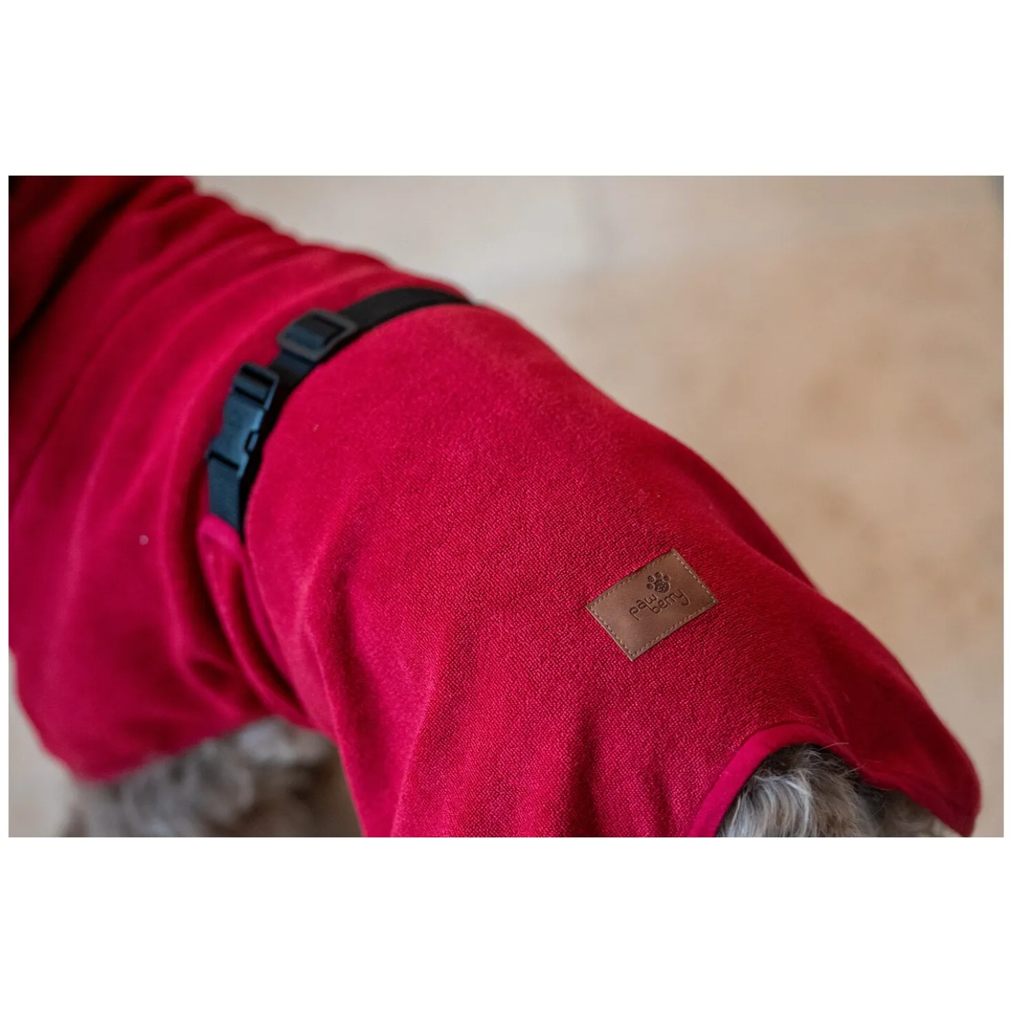 pawberry Hundebademantel London