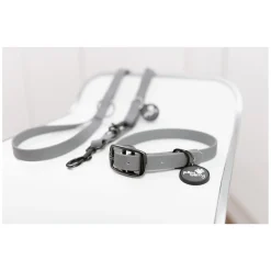 pawberry Hundehalsband Doncaster
