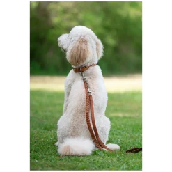 pawberry Hundehalsband Praha