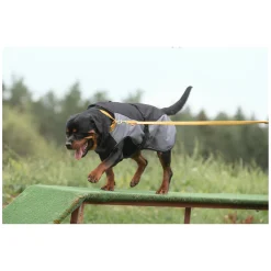 pawberry Hundehalsband Sintra