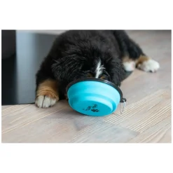 pawberry Hundenapf faltbar