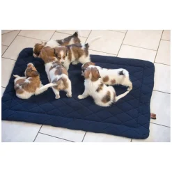 pawberry Hundeplatzdecke Fleece