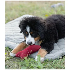 pawberry Hundeplatzdecke Fleece