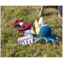 pawberry Hundespielzeug Anker