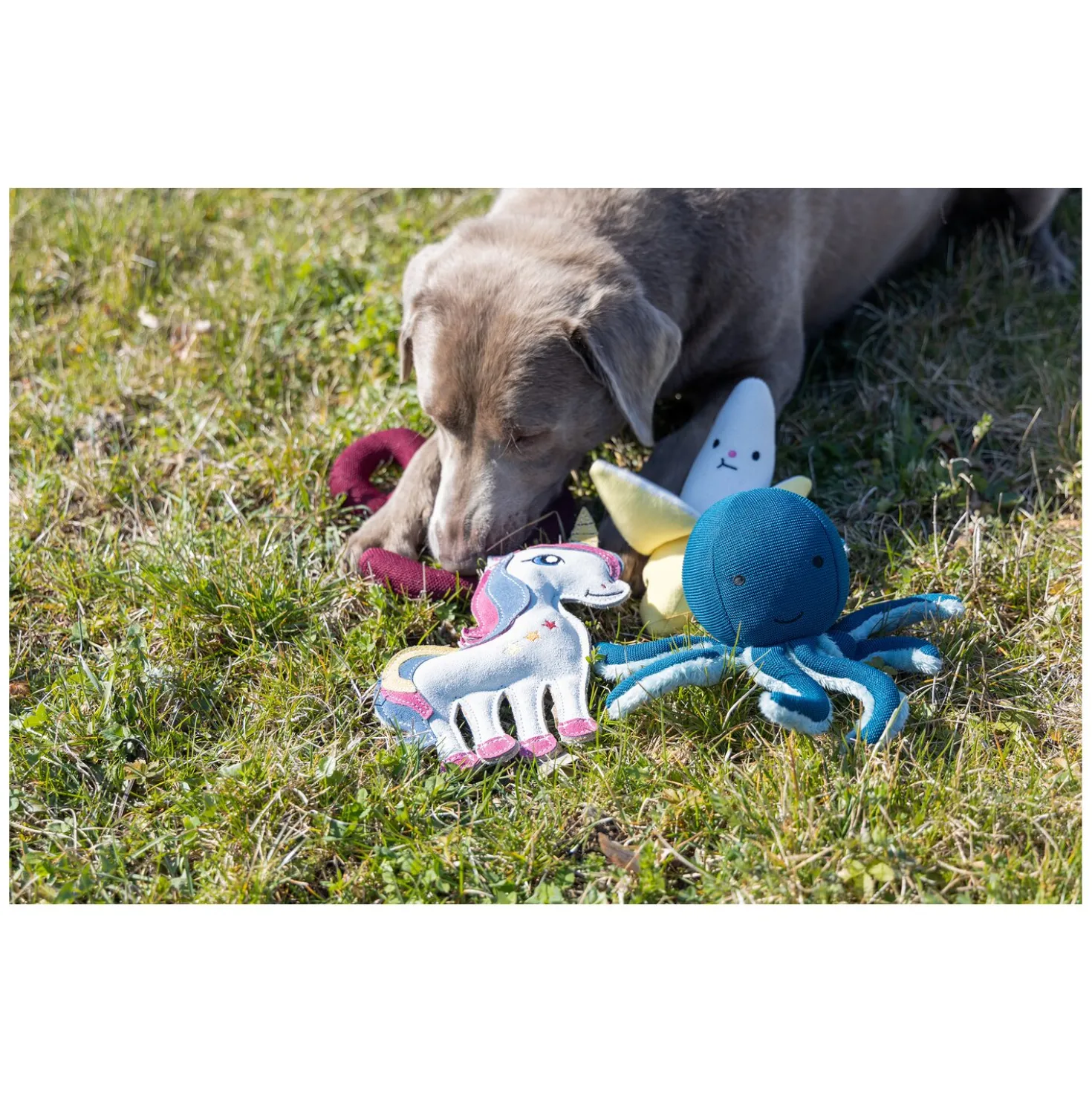pawberry Hundespielzeug Banane
