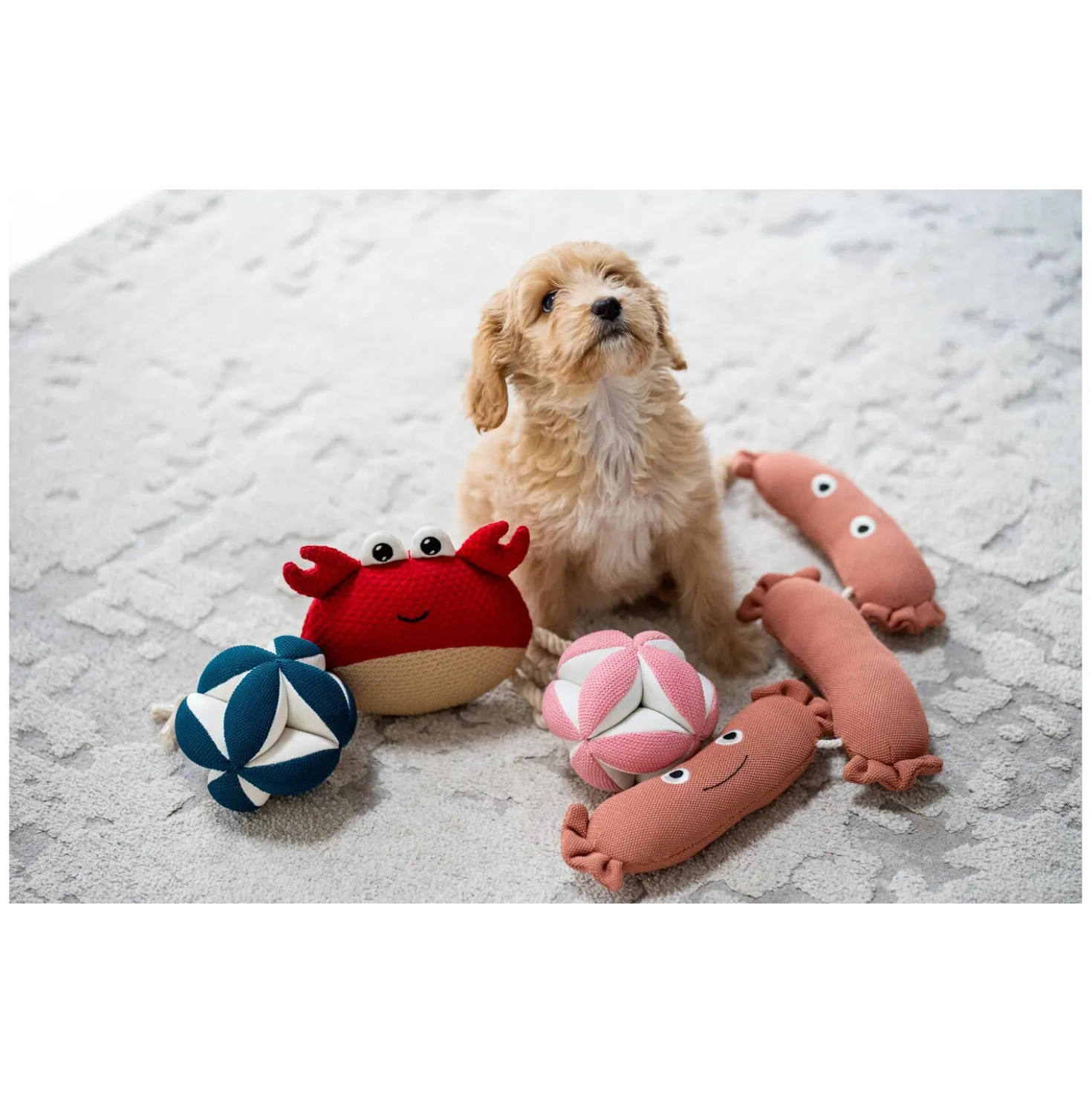 pawberry Hundespielzeug Krebs