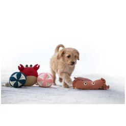 pawberry Hundespielzeug Krebs