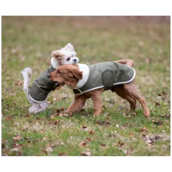 pawberry Hunde-Wintermantel Stockholm