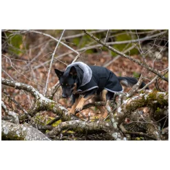 pawberry Hunde-Wintermantel Stockholm